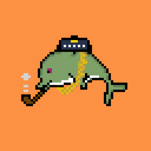 Street Dolphins
